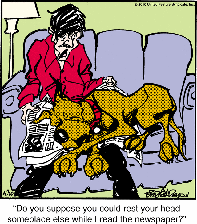 marmaduke